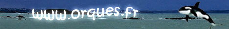 Une amoureuse des orques